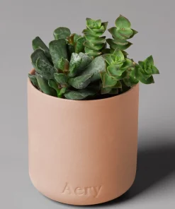 Home Accessories*AERY Fernweh Candle - Aztec Tuberose