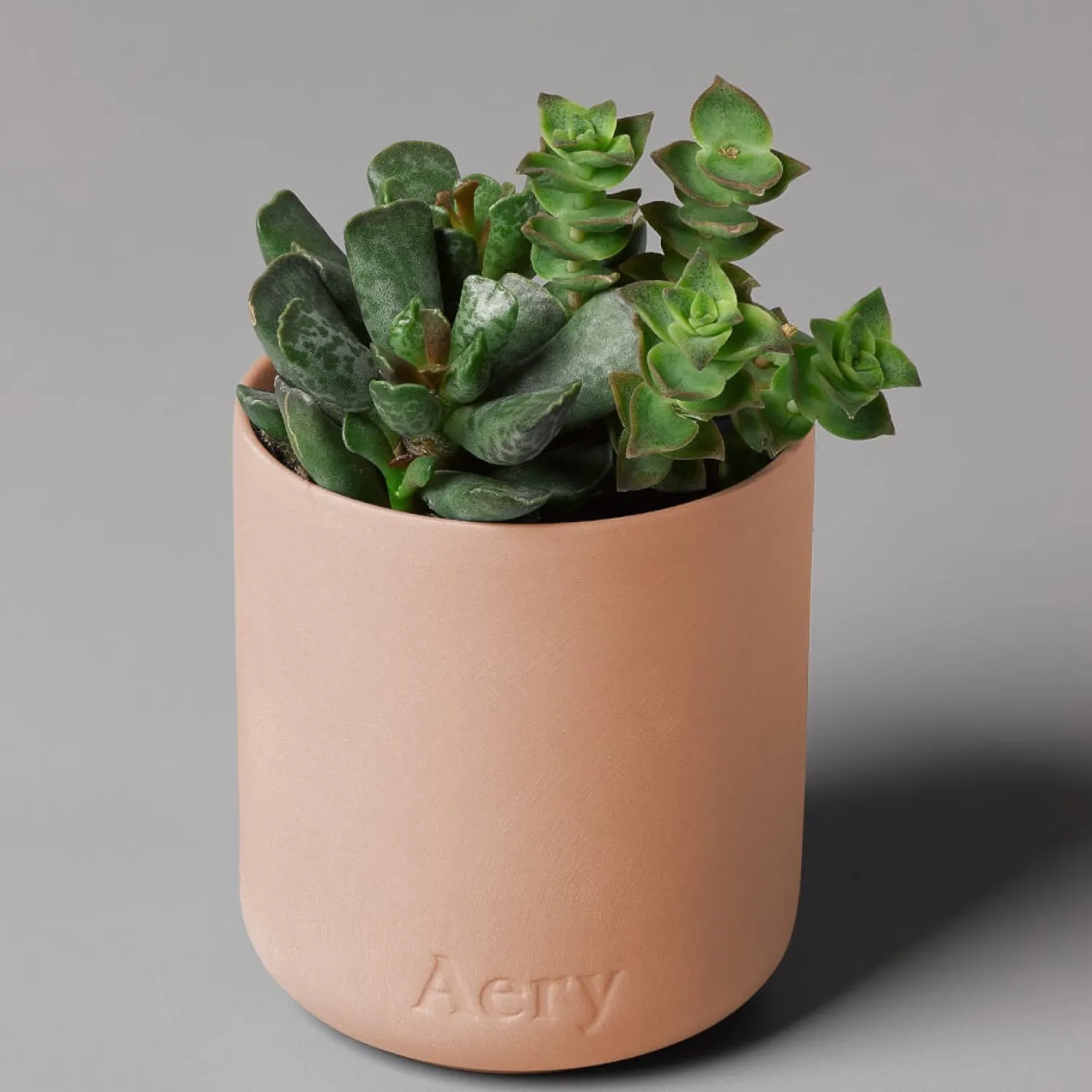 Home Accessories*AERY Fernweh Candle - Aztec Tuberose