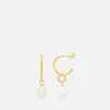 Earrings*Estella Bartlett Gold-Plated Organic Twist Pearl Drop Hoop
