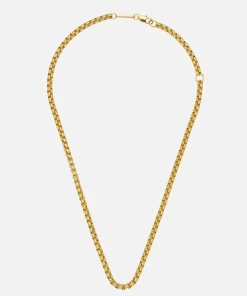 Necklaces*Estella Bartlett Women's Chunky Rounded Box Chain - Gold Plate/Gold Plated