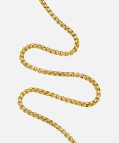 Necklaces*Estella Bartlett Women's Chunky Rounded Box Chain - Gold Plate/Gold Plated