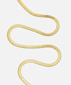 Necklaces*Estella Bartlett Women's Herringbone Chain - Gold Plate/Gold Plated