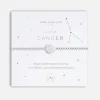 Bracelets & Bangles*Joma Jewellery Women's A Little Cancer Silver Bracelet Stretch - Silver