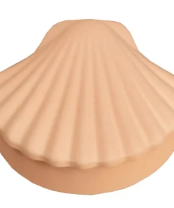 Home Accessories*Los Objetos Decorativos Seashell Box - Ecru