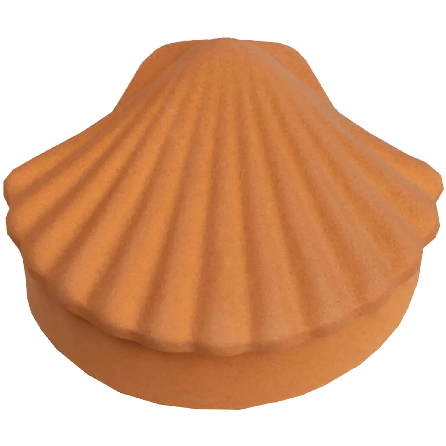 Home Accessories*Los Objetos Decorativos Seashell Box - Amber