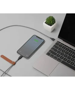 Tech Accessories*Native Union Belt Cable 3M - Usb C - Lightning - Zebra