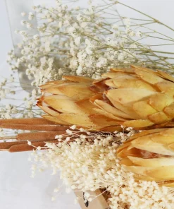 Home Accessories*Shida Preserved Flowers - Paola